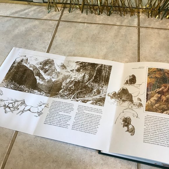 NEW Bev Doolittle New Magic Hardcover Book NIB Original Artwork Collector's Ed. - Picture 10 of 14
